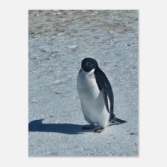 16af2b91-5a17-4e87-abbe-af24a41796e0