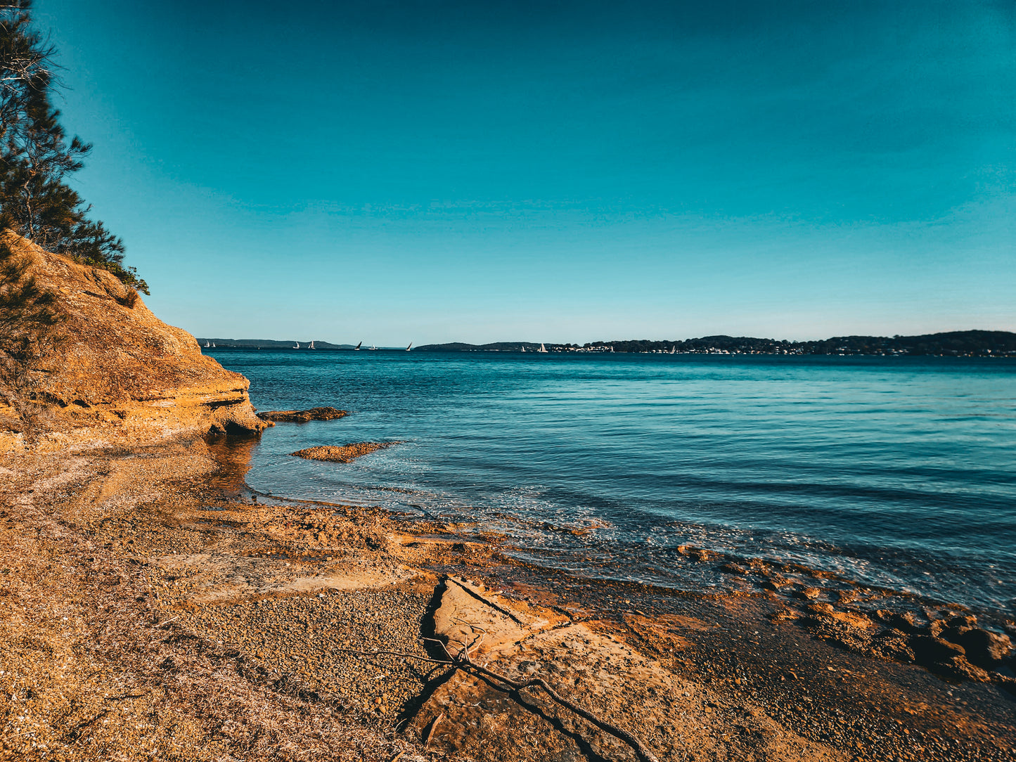 Golden Rock Edge — Lake Macquarie’s Coastal Glow | Fine Art Print