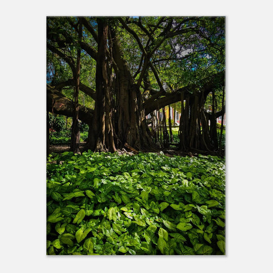 213ff0c7-9940-4d50-8f8c-2466ba797696