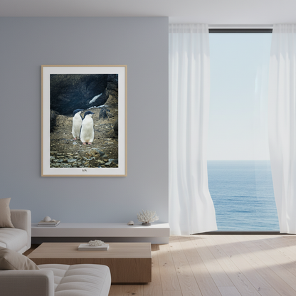 Adélie Companions — Penguins on the Rocks | Fine Art Print