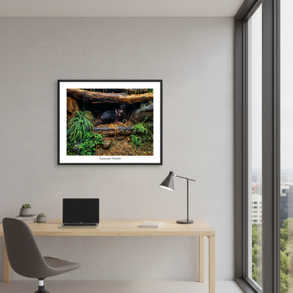 Tasmanian Devil in Natural Habitat | Fine Art Print