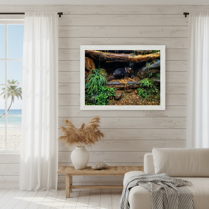 Tasmanian Devil in Natural Habitat | Fine Art Print