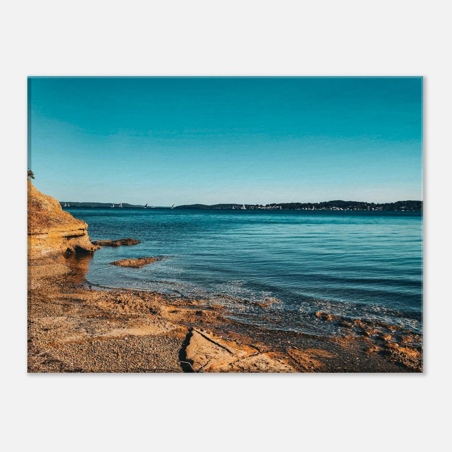 9e8de850-caaa-477a-8d5c-a6956ee44e3d