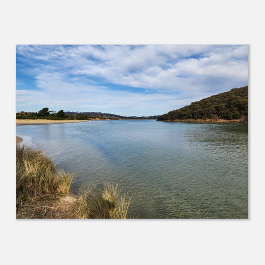 c90a31f4-5e37-4e15-8539-a4ff63d17fca