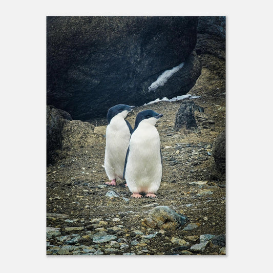 f0800725-7a3c-4a99-865a-cf2002fe394a