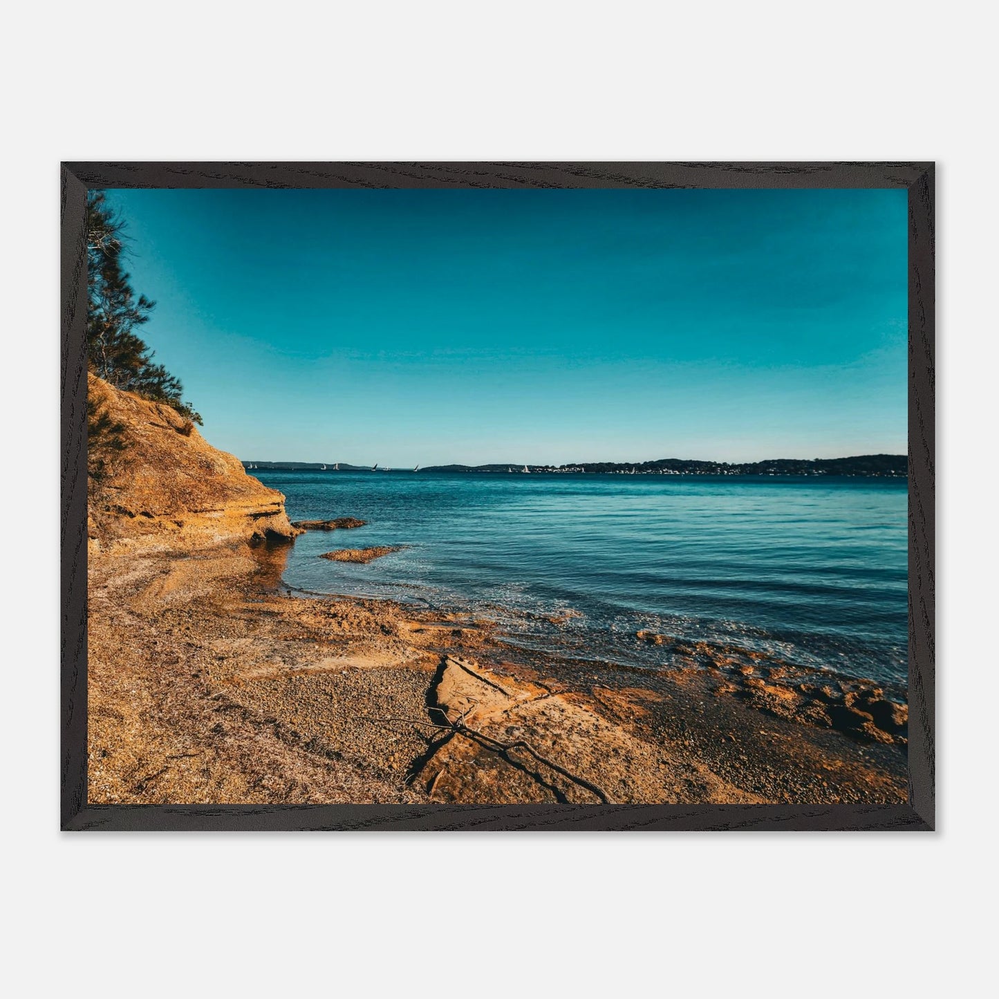 fb61470c-8fde-4b47-b38f-844e0913cb86