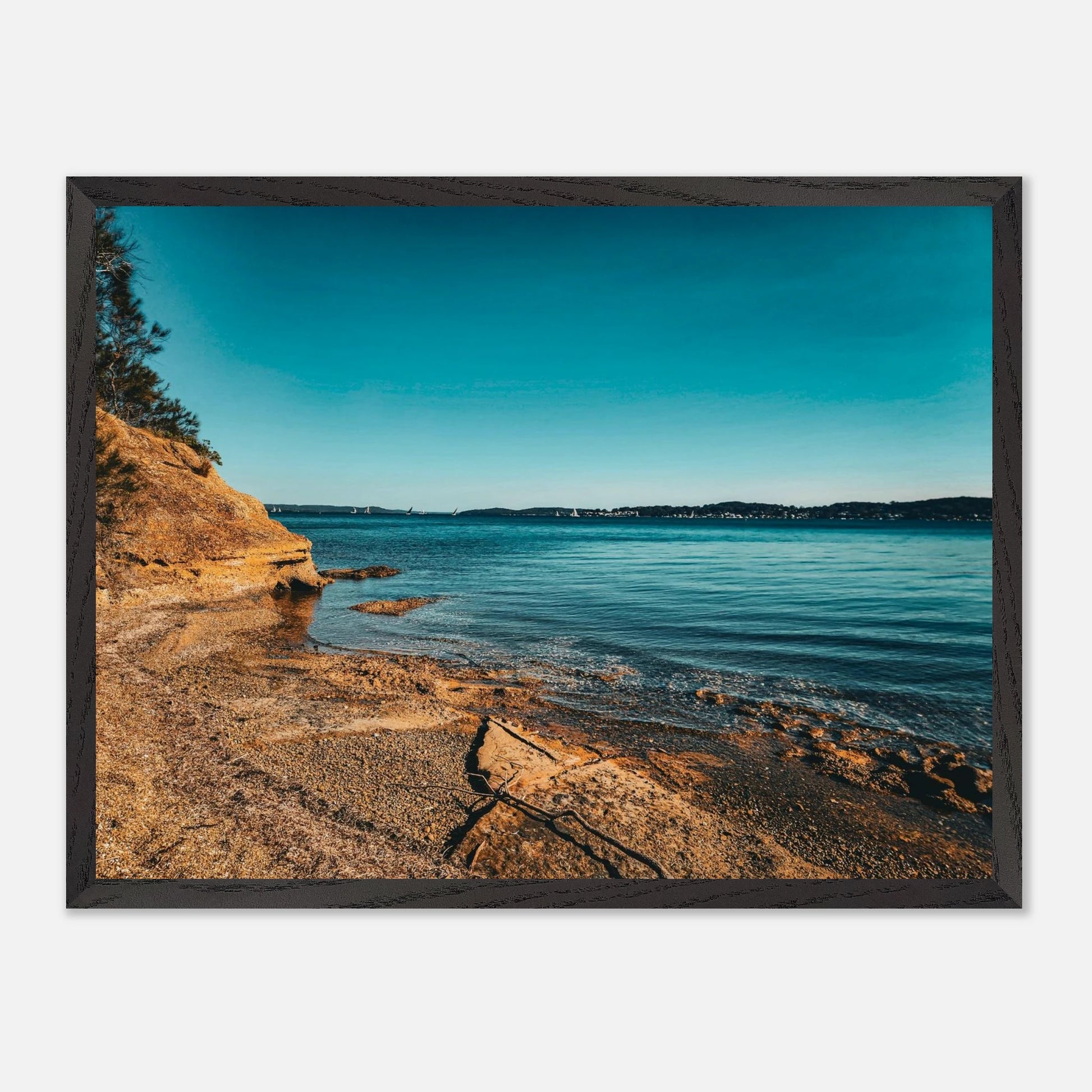 fb61470c-8fde-4b47-b38f-844e0913cb86